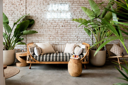 JuneShine Santa Monica