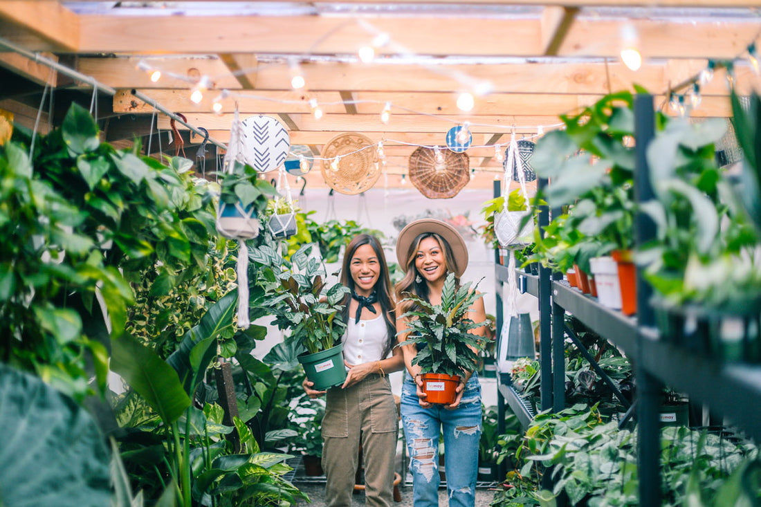 Plant Parenthood on a Budget