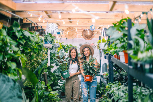 Plant Parenthood on a Budget