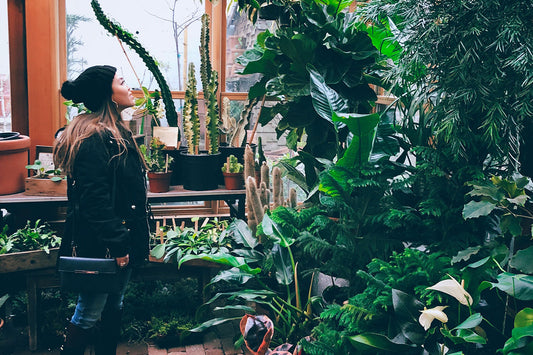 Plants: What They Can Do For Mental Health