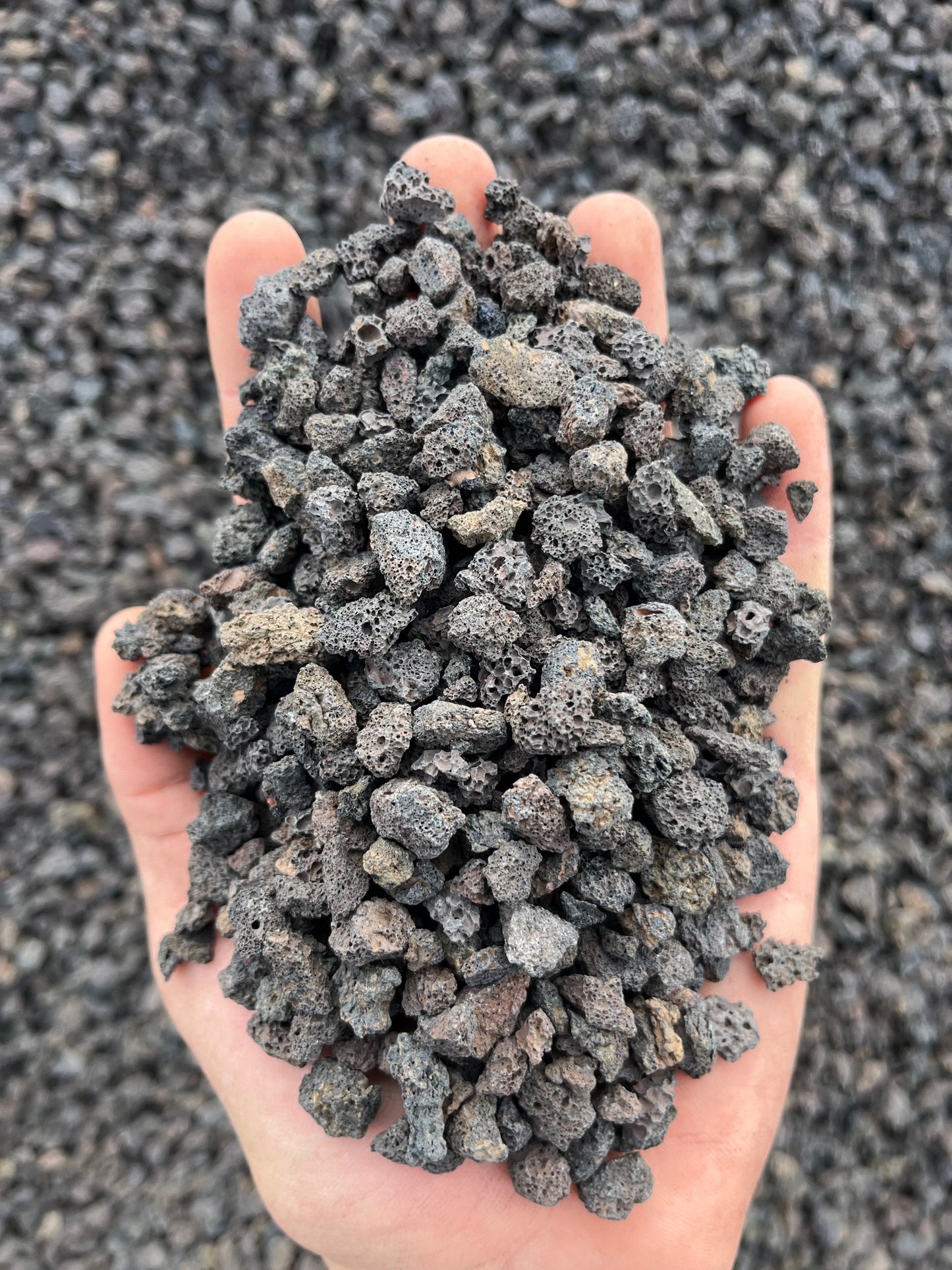 Horticultural Black Lava Rock