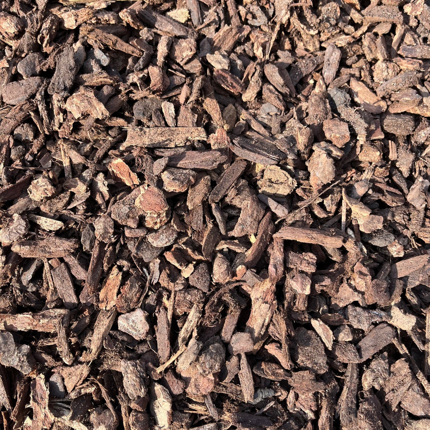 Orchid Bark