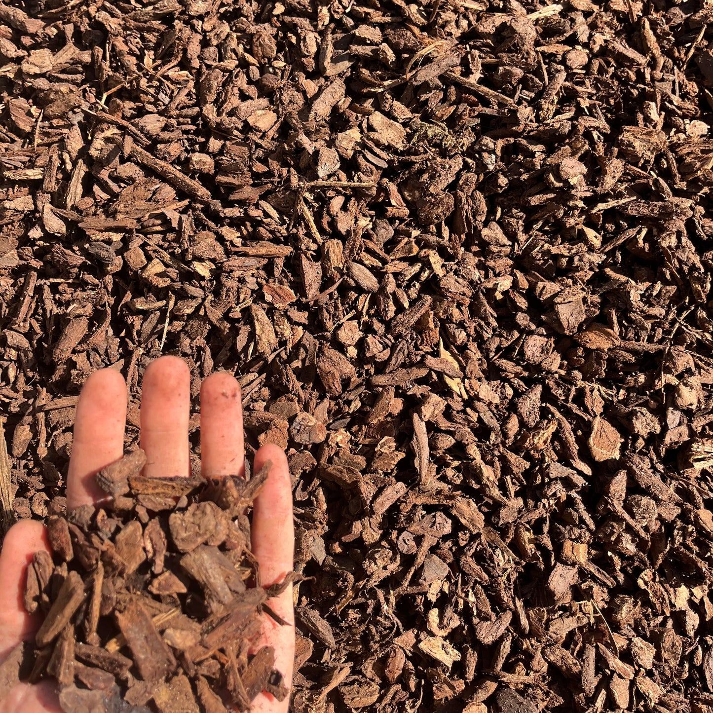 Orchid Bark