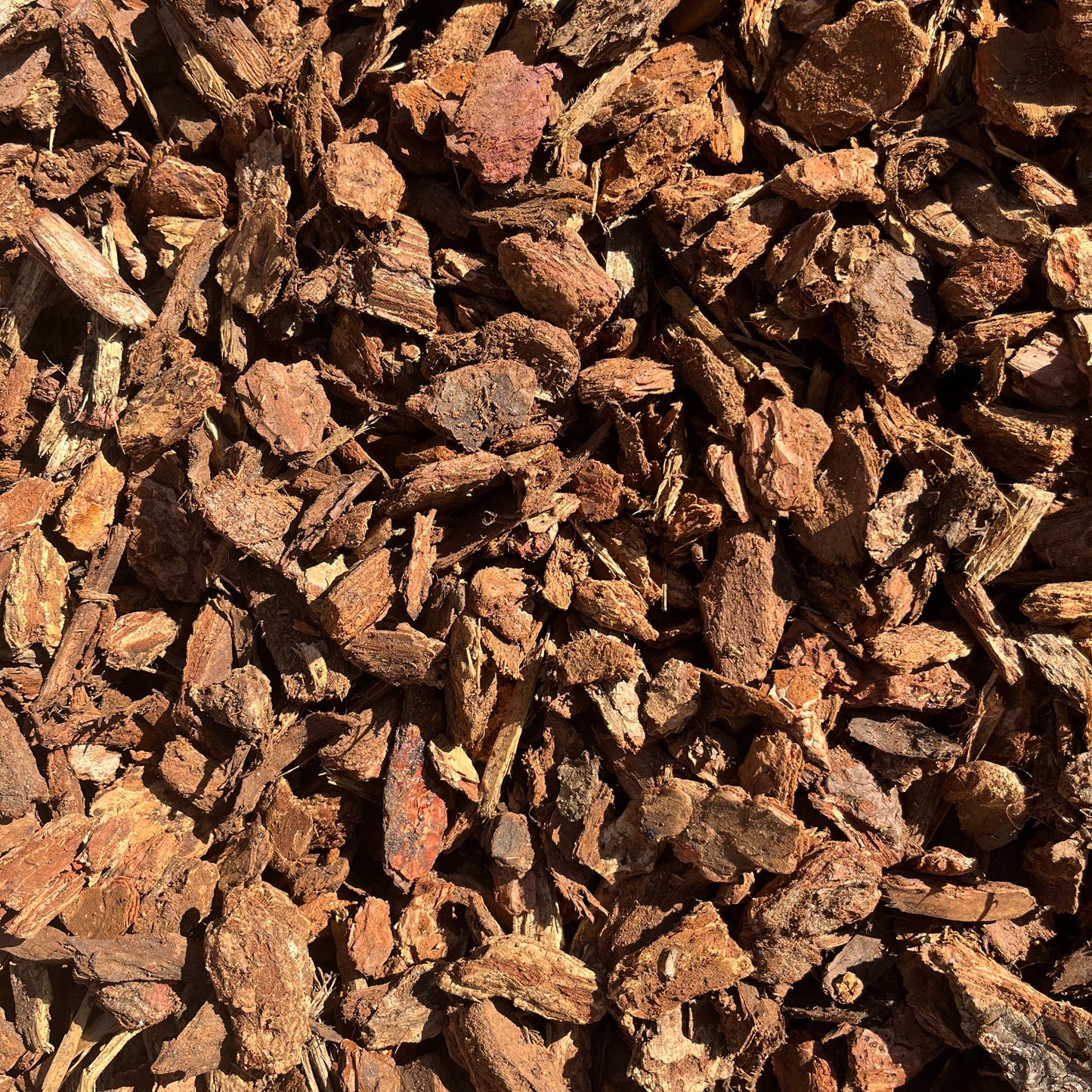 Orchid Bark