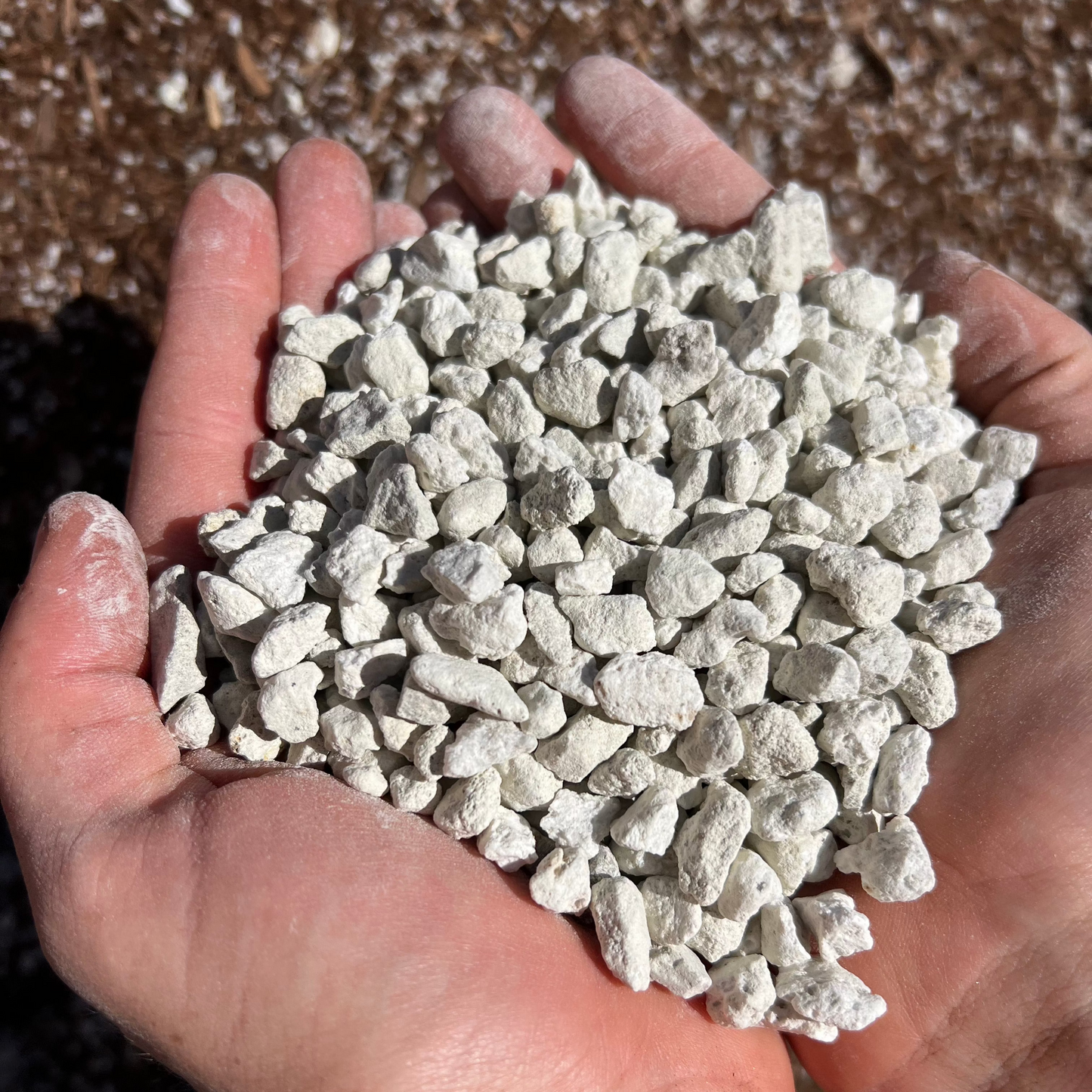 3/8" Horticultural Pumice Lava Rock for Bonsai