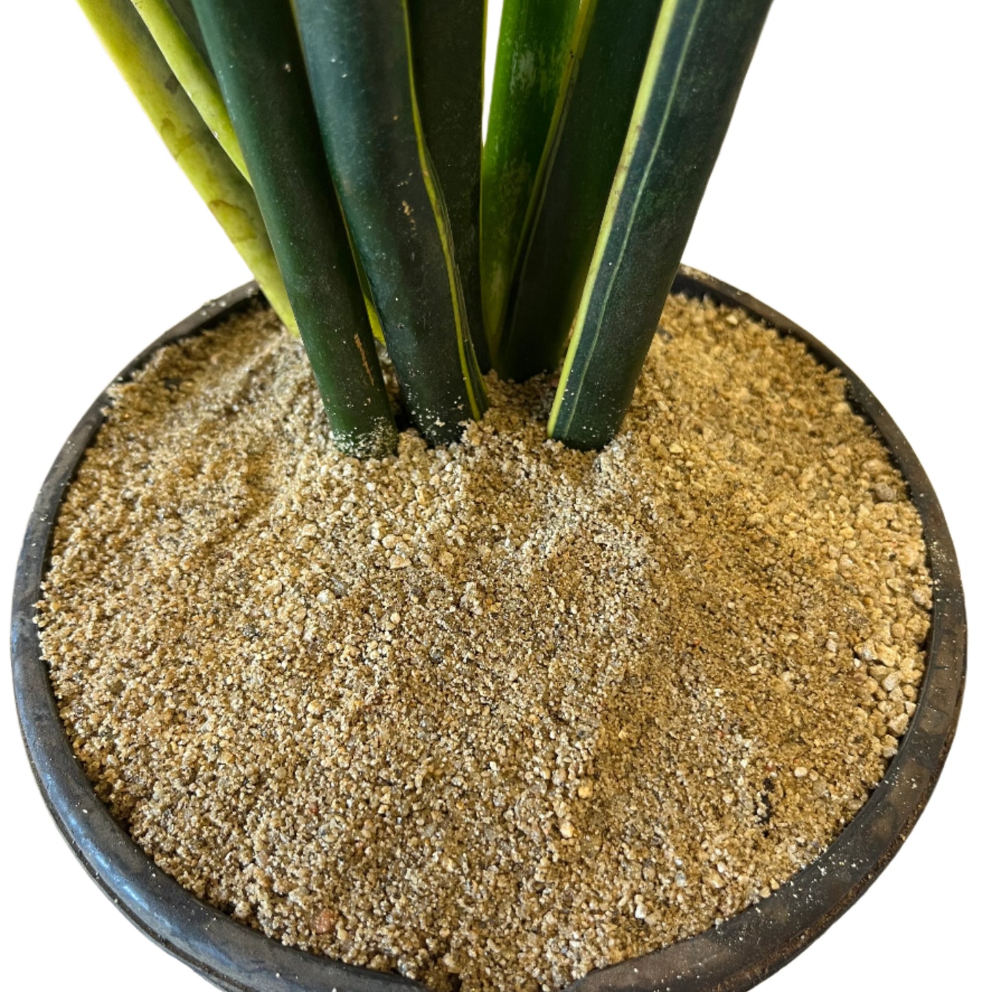 Washed Sand