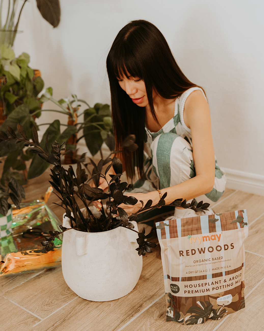 Houseplant & Aroid Potting Mix (4 QT)