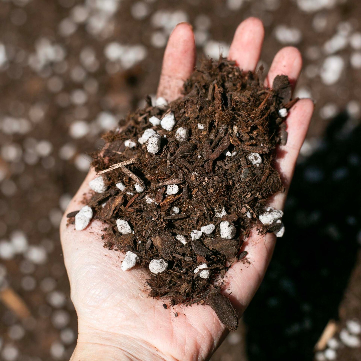 Houseplant Potting Mix