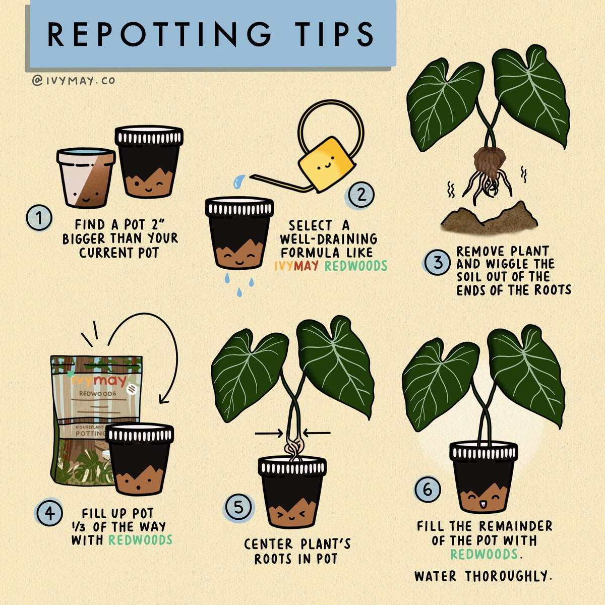 Houseplant Potting Mix