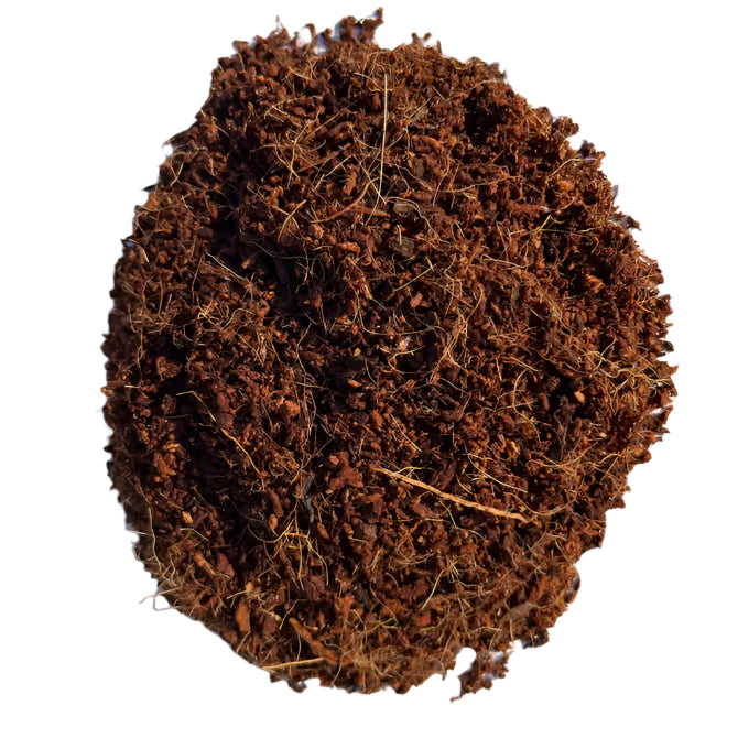 Pre-Moistened Coco Coir