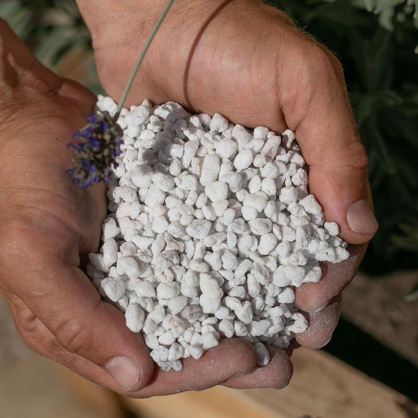 Horticultural Perlite