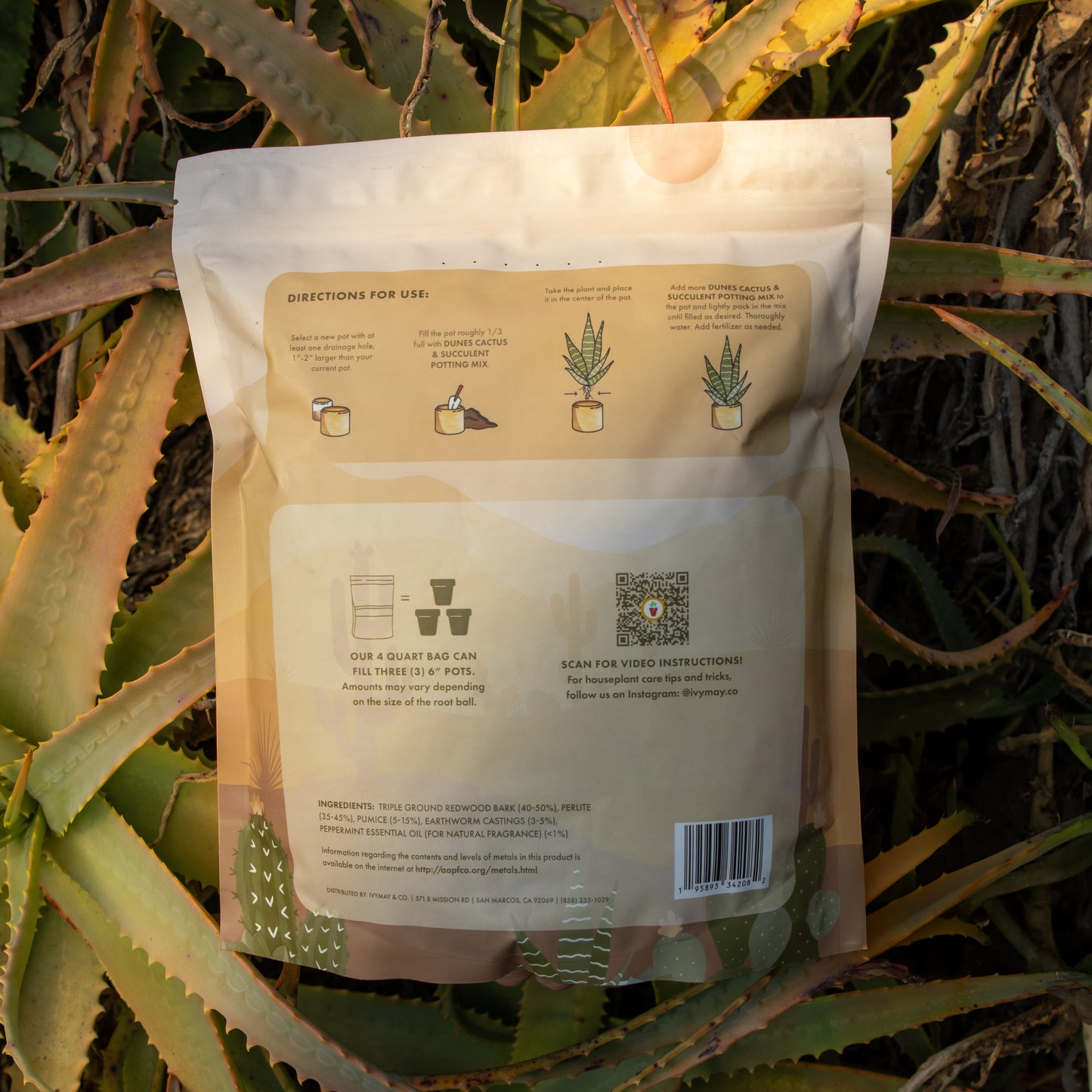 Cactus & Succulent Mix