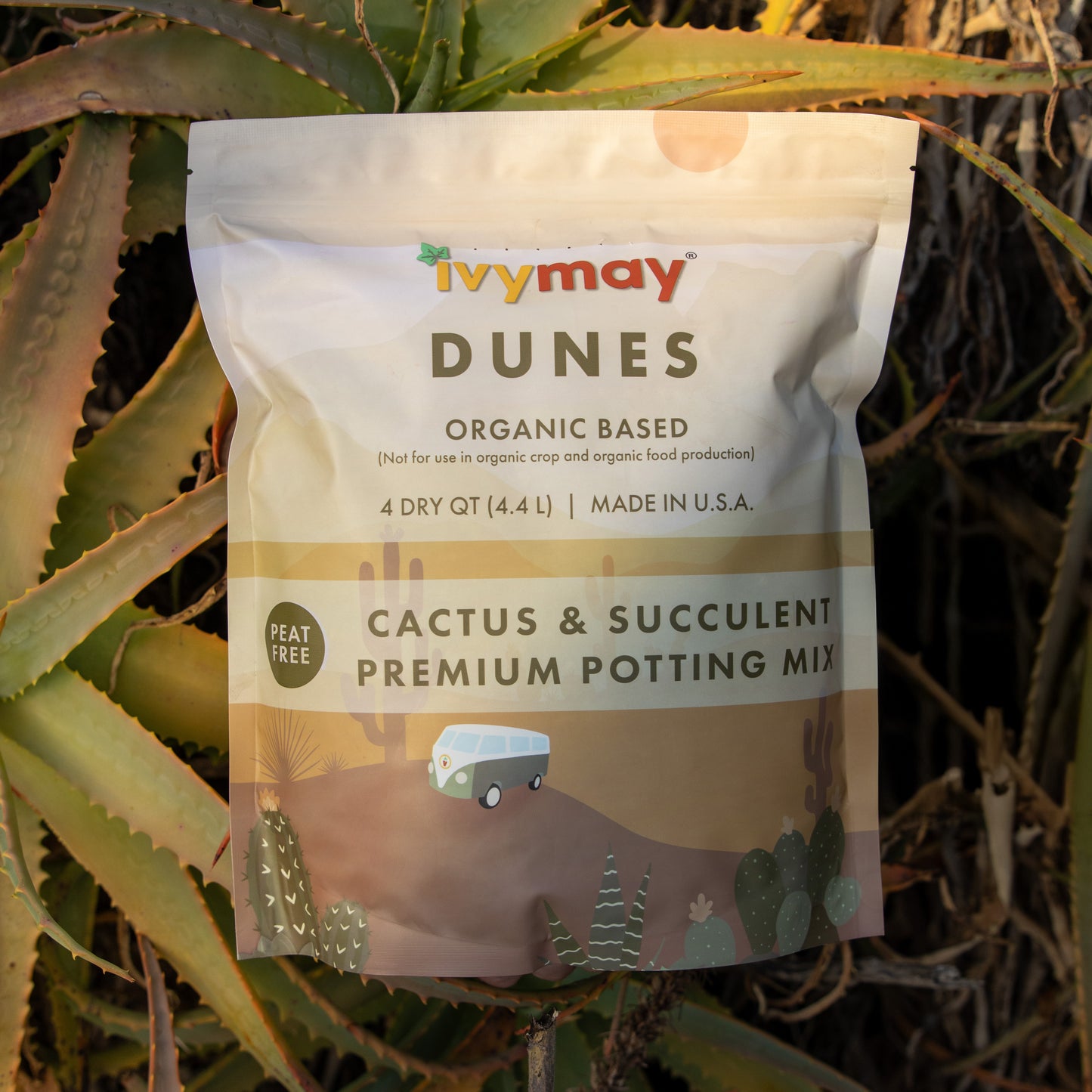 Cactus & Succulent Mix