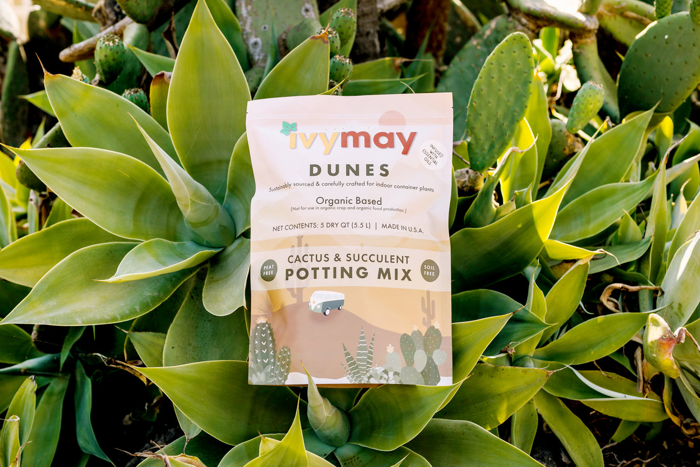 Dunes Cactus & Succulent Potting Mix (5 Qt) - Peat Free