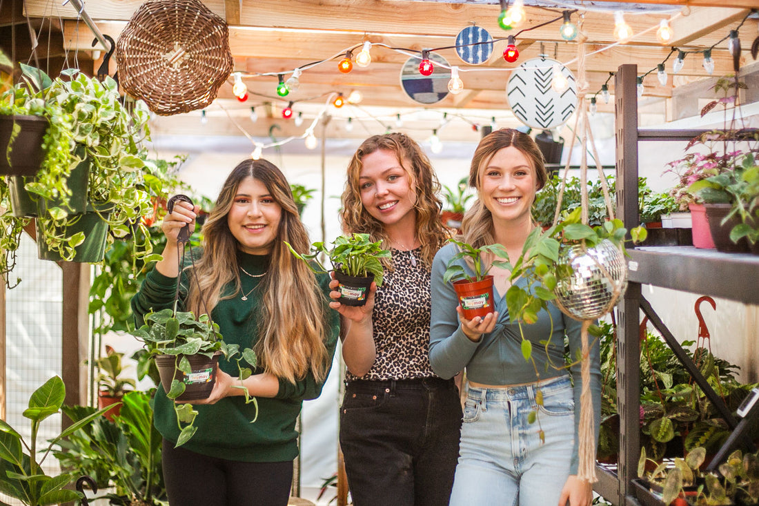 Spring 2021 interns Cynthia Gerringer, Ivy Moran, and Natalie Lahr inside the IvyMay greenhouse.