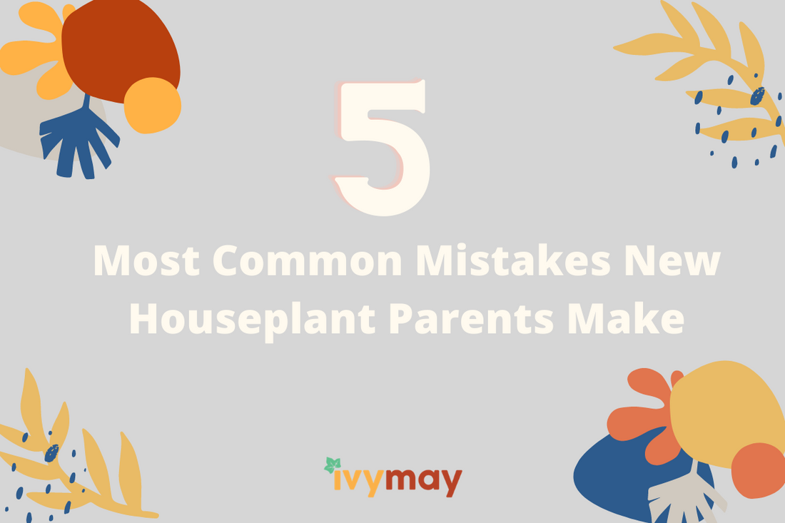 5 Most Common Mistakes New Houseplant Parents Make