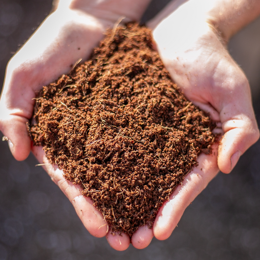 Pre-Moistened Coco Coir