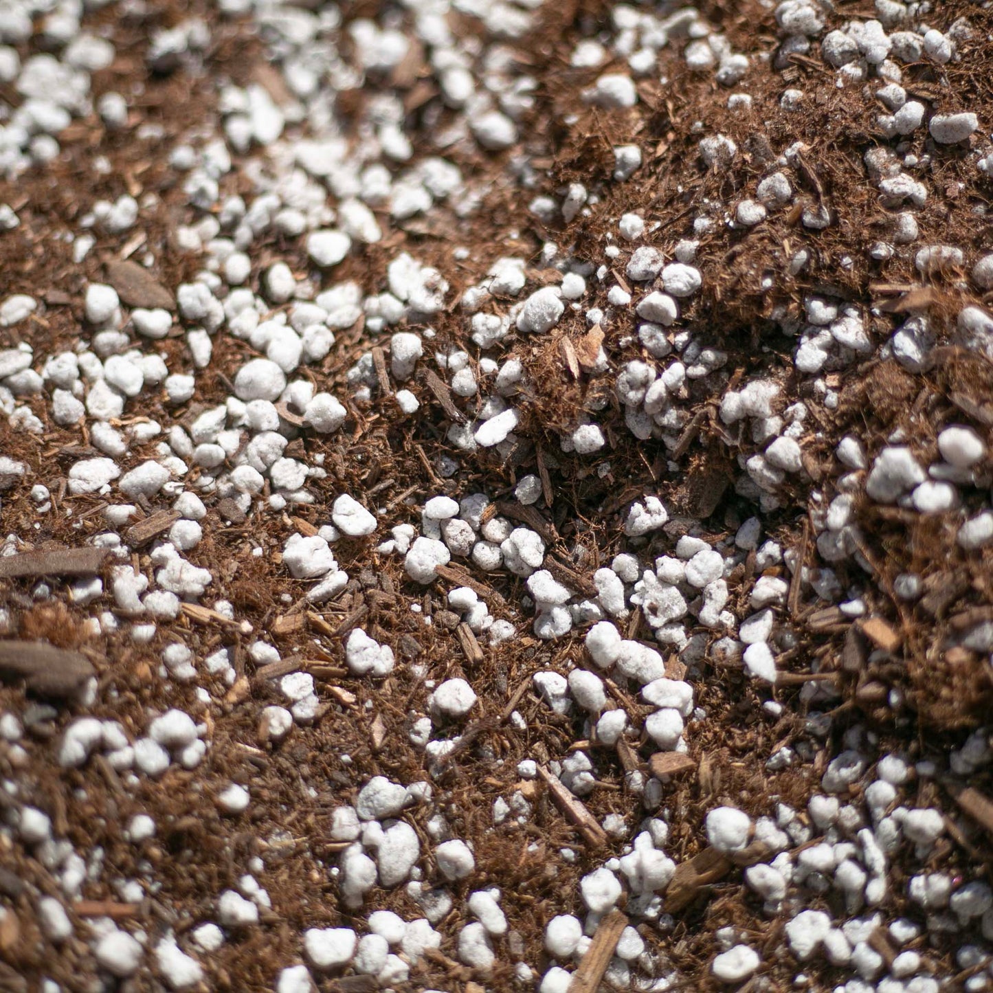 Bulk Cactus & Succulent Potting Mix