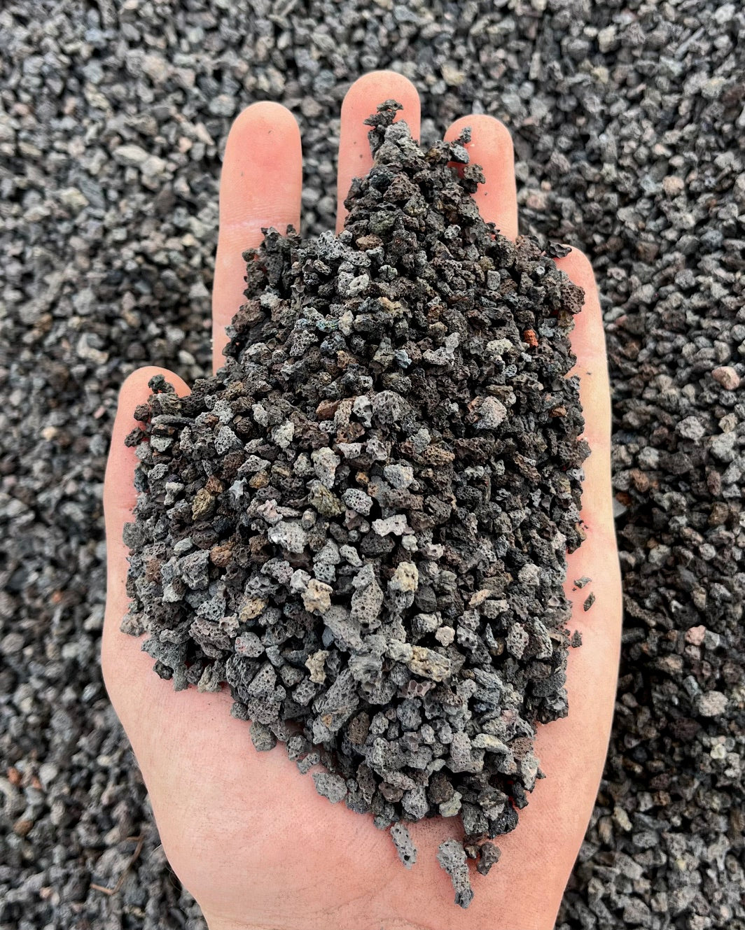 3/16" Horticultural Black Lava Rock