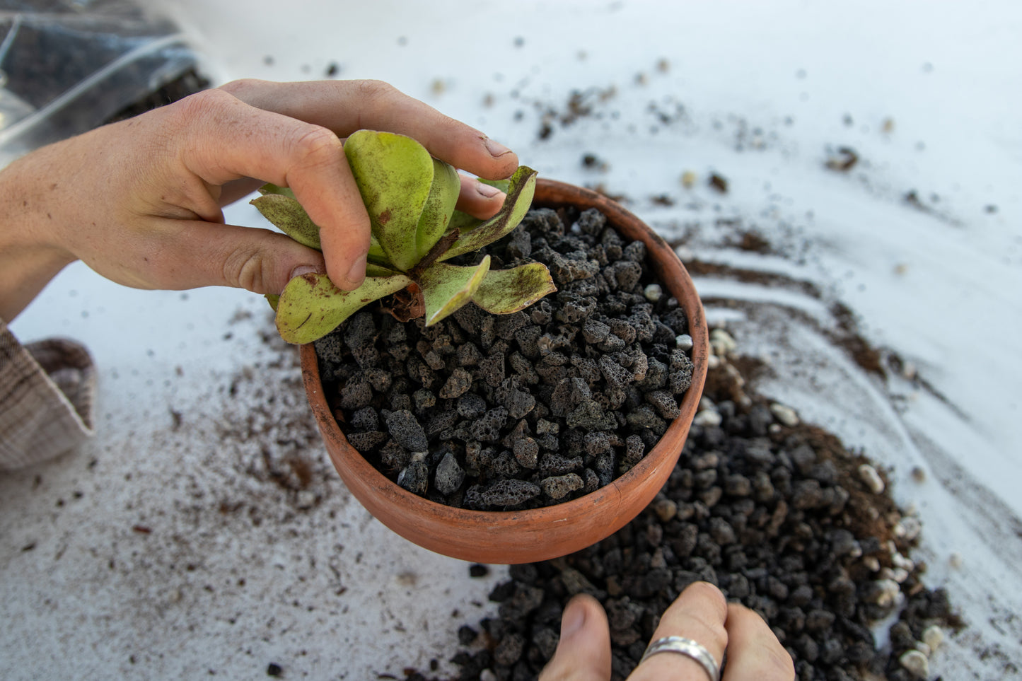 3/8" Horticultural Black Lava Rock for Bonsai