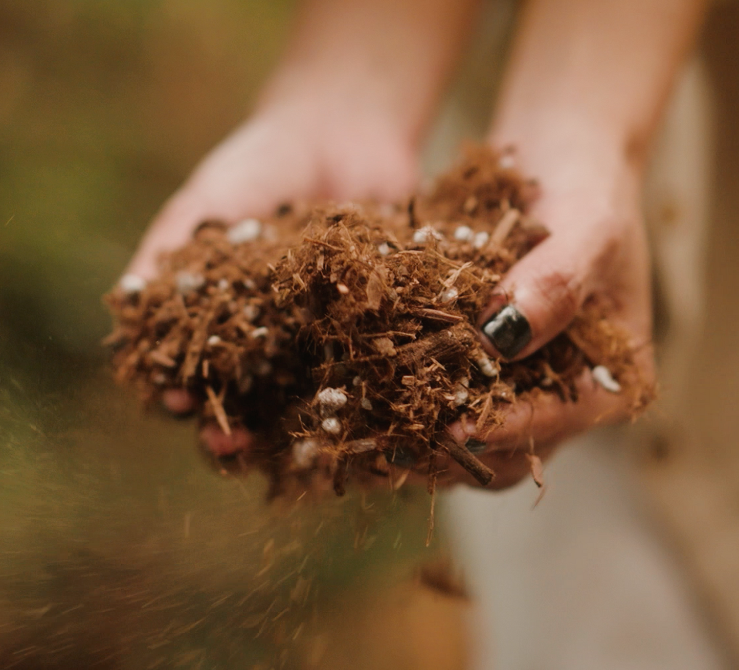 Bulk Redwoods Houseplant & Aroid Potting Mix - Peat Free