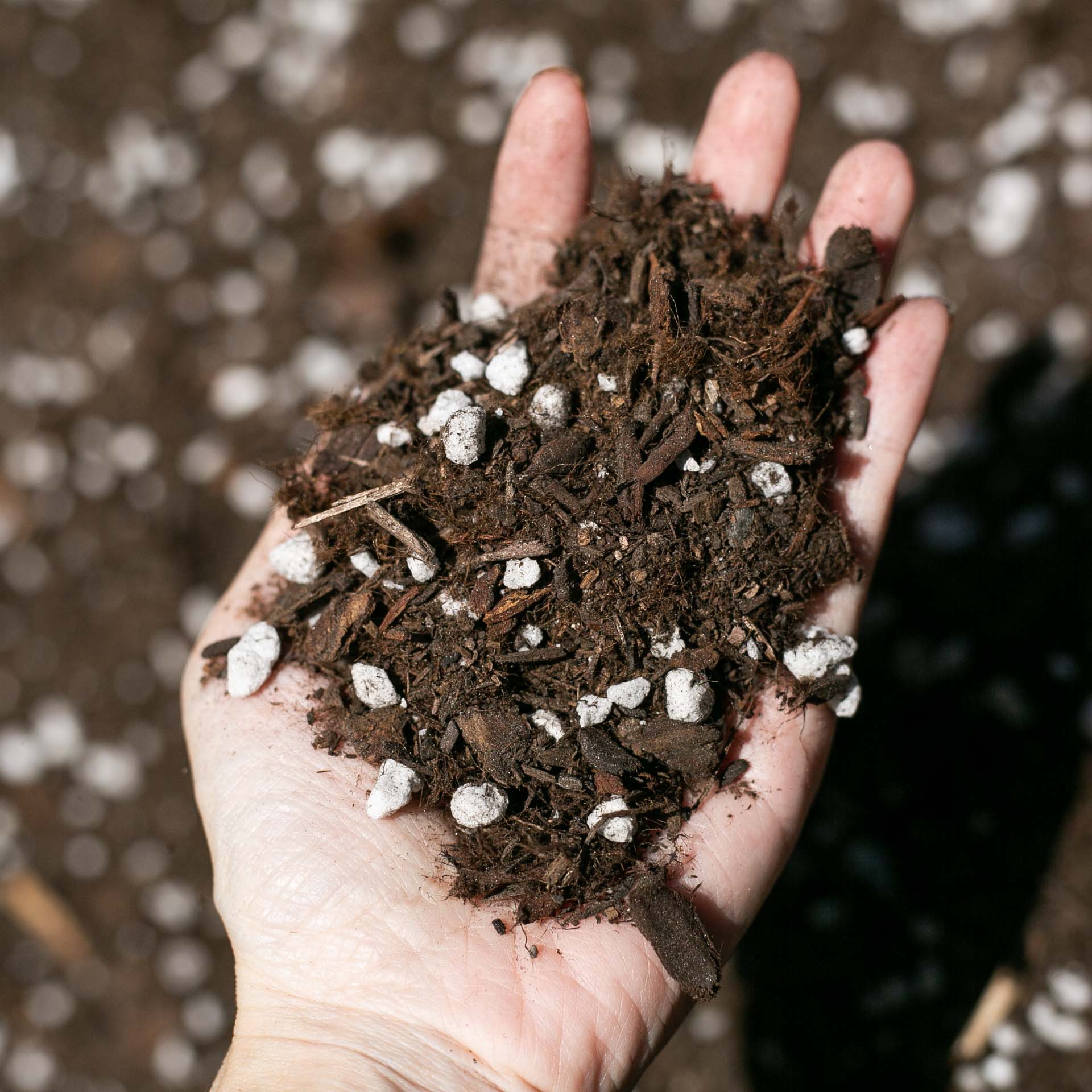 Potting soil store