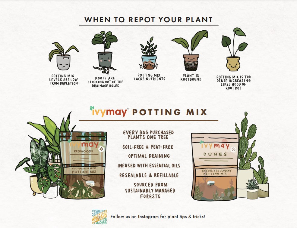 Houseplant & Aroid Potting Mix