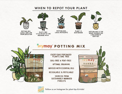 Houseplant & Aroid Potting Mix