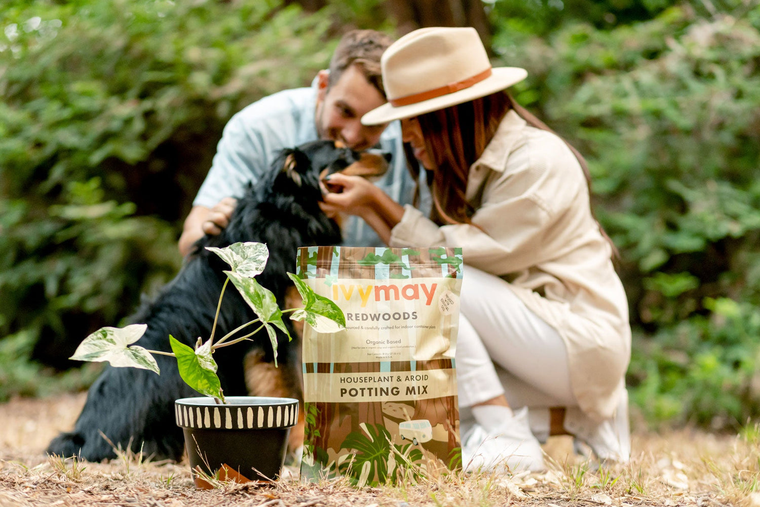 IvyMay Redwoods Houseplant & Aroid Peat-Free Potting Mix next to an albo syngonium in a black-painted terracotta pot in the foreground. Cody, Tammy, and dog Cohen huddle and smile at each other.