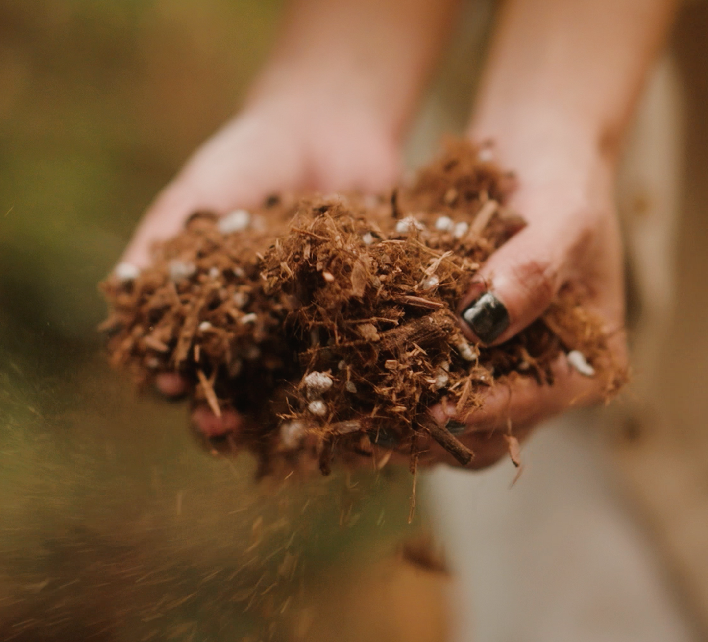 Bulk Houseplant & Aroid Potting Mix